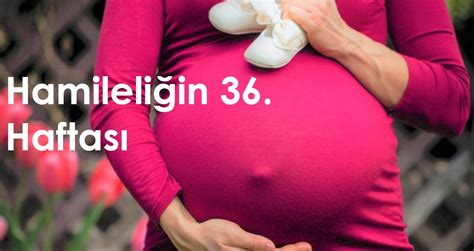 hamileligin 36 haftasinda cinsel iliski